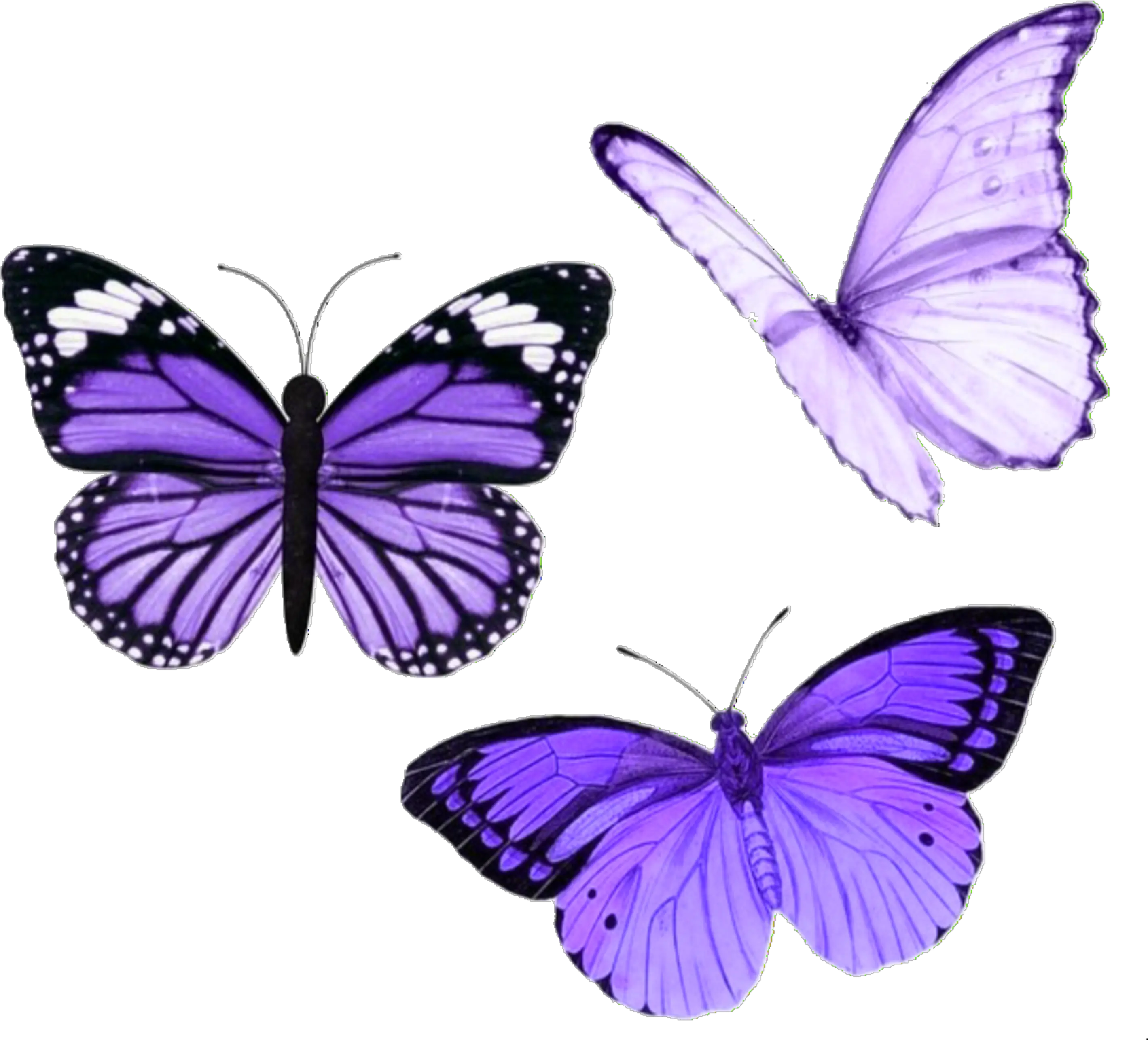 butterfly butterflies purple aesthetic tumblr Purple Aesthetic Stickers Butterfly