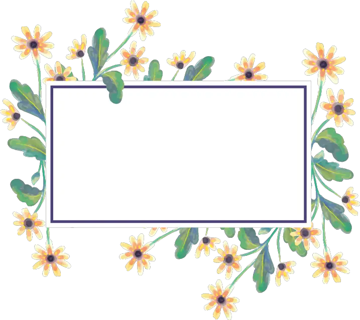 Chrysanthemum Frame Vector Flower Illustration Png กรอบ ข้อความ Png ดอกไม้