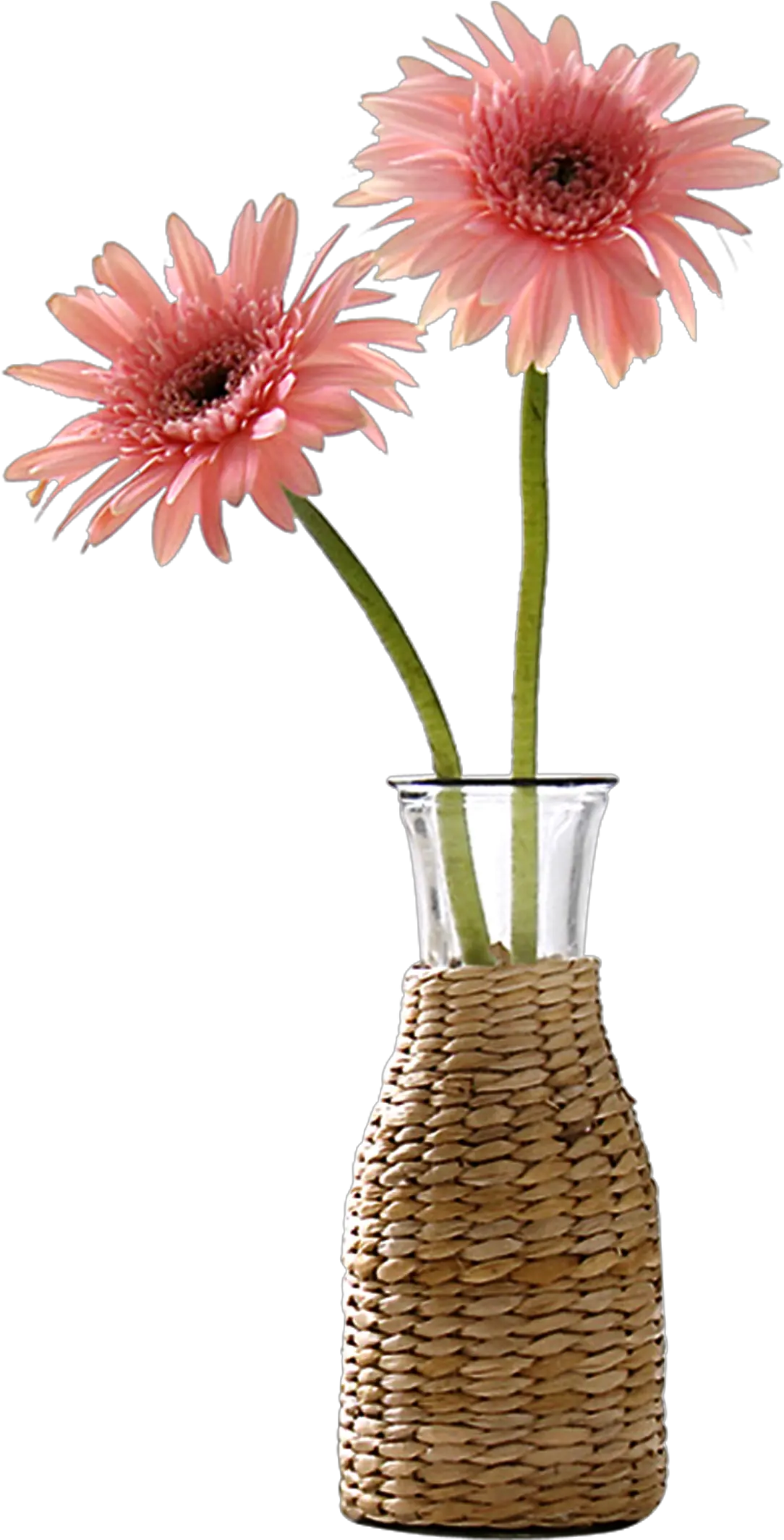 Beautiful Vase Flower Decoration Vector Vase Flowers Png Beautiful