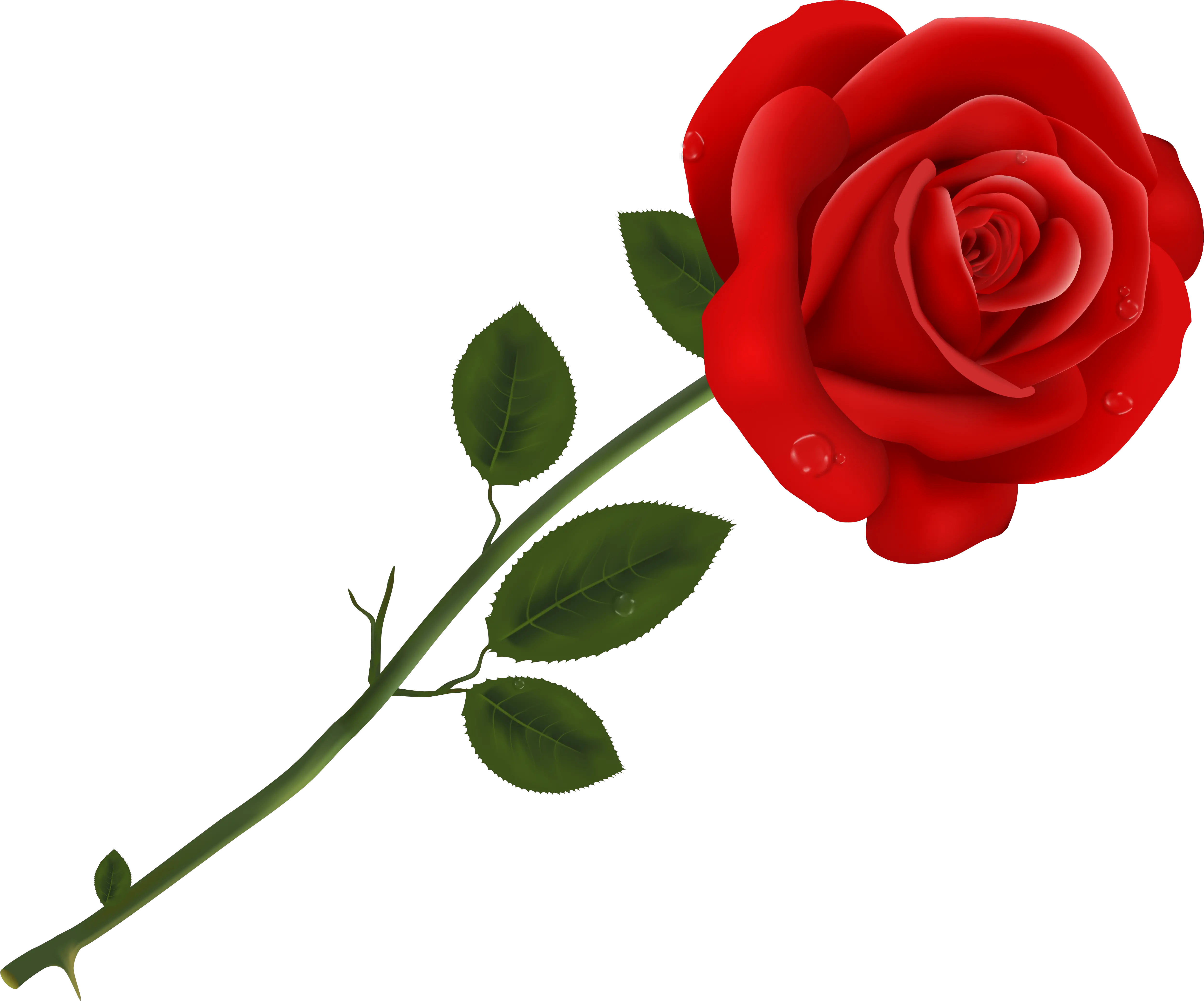 Single Rose Png Free Download Rose Clipart