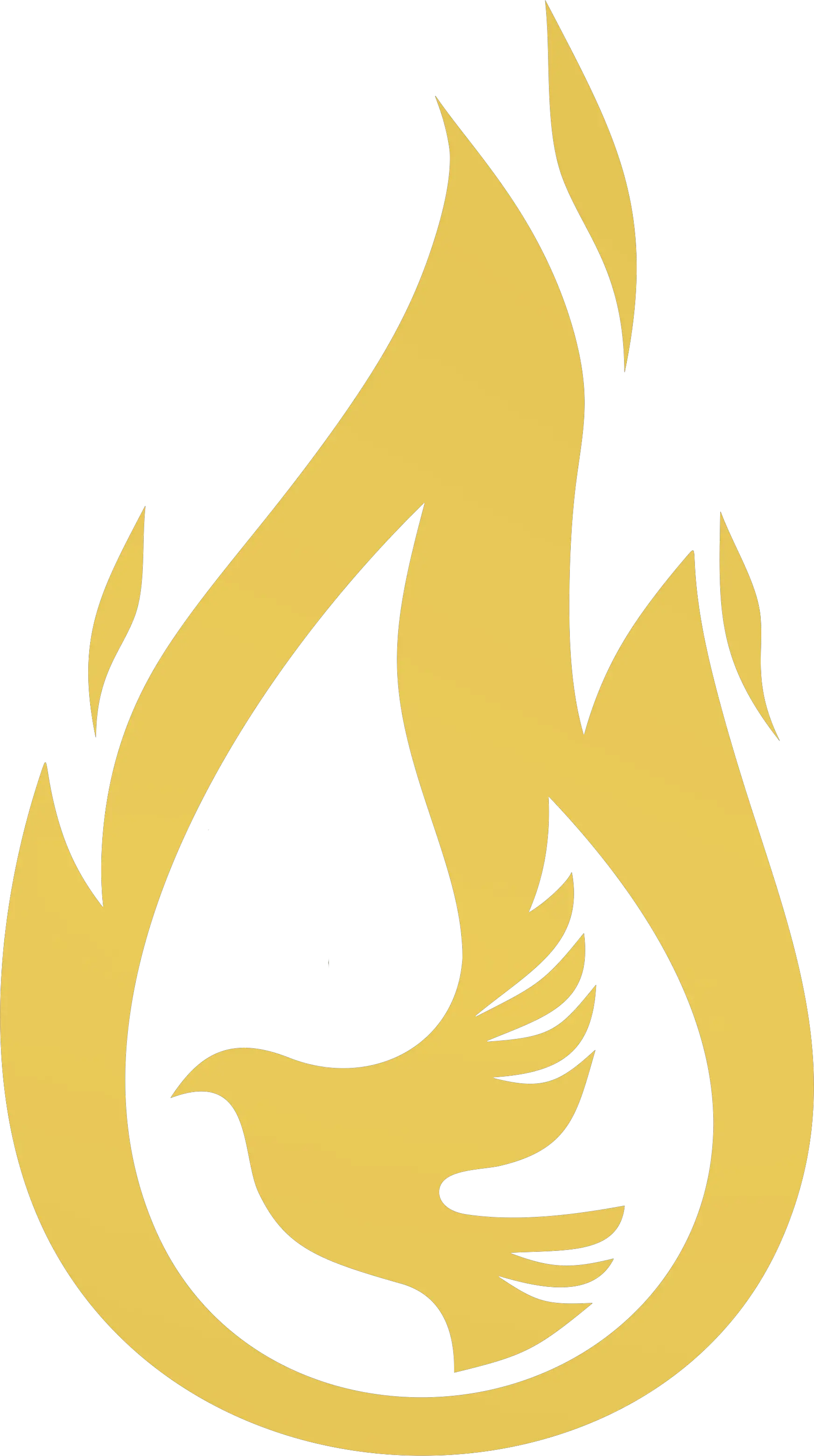 Transparent Juggalo Png Fire Holy Spirit Icon Png