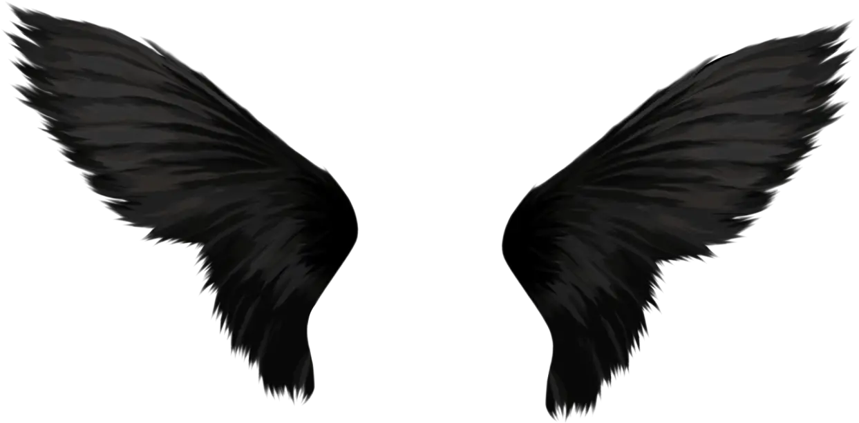 Black Wings Png Image Transparent Black Angel Wings