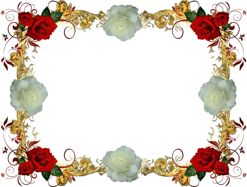 Red Clipart Flower Transparent White Rose Frame Png