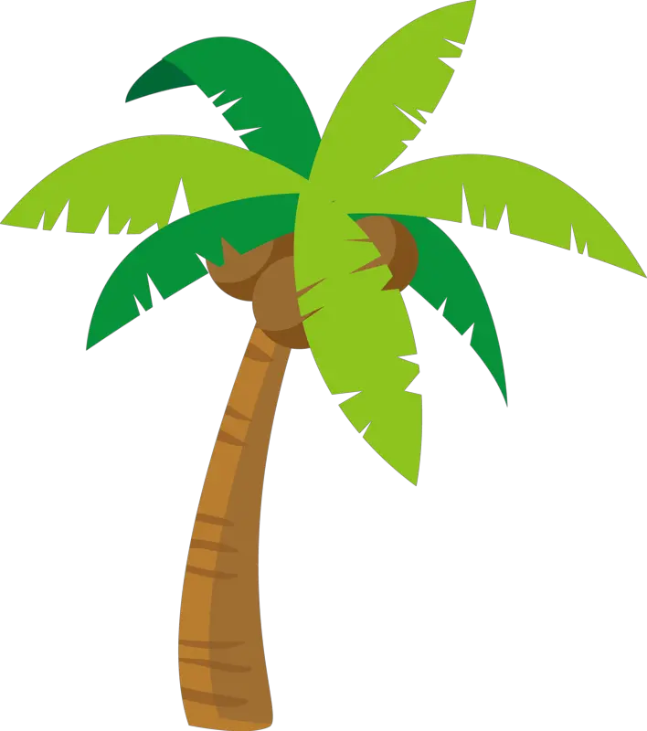 Clip Art Pe De Coco Palm Tree Cartoon Png