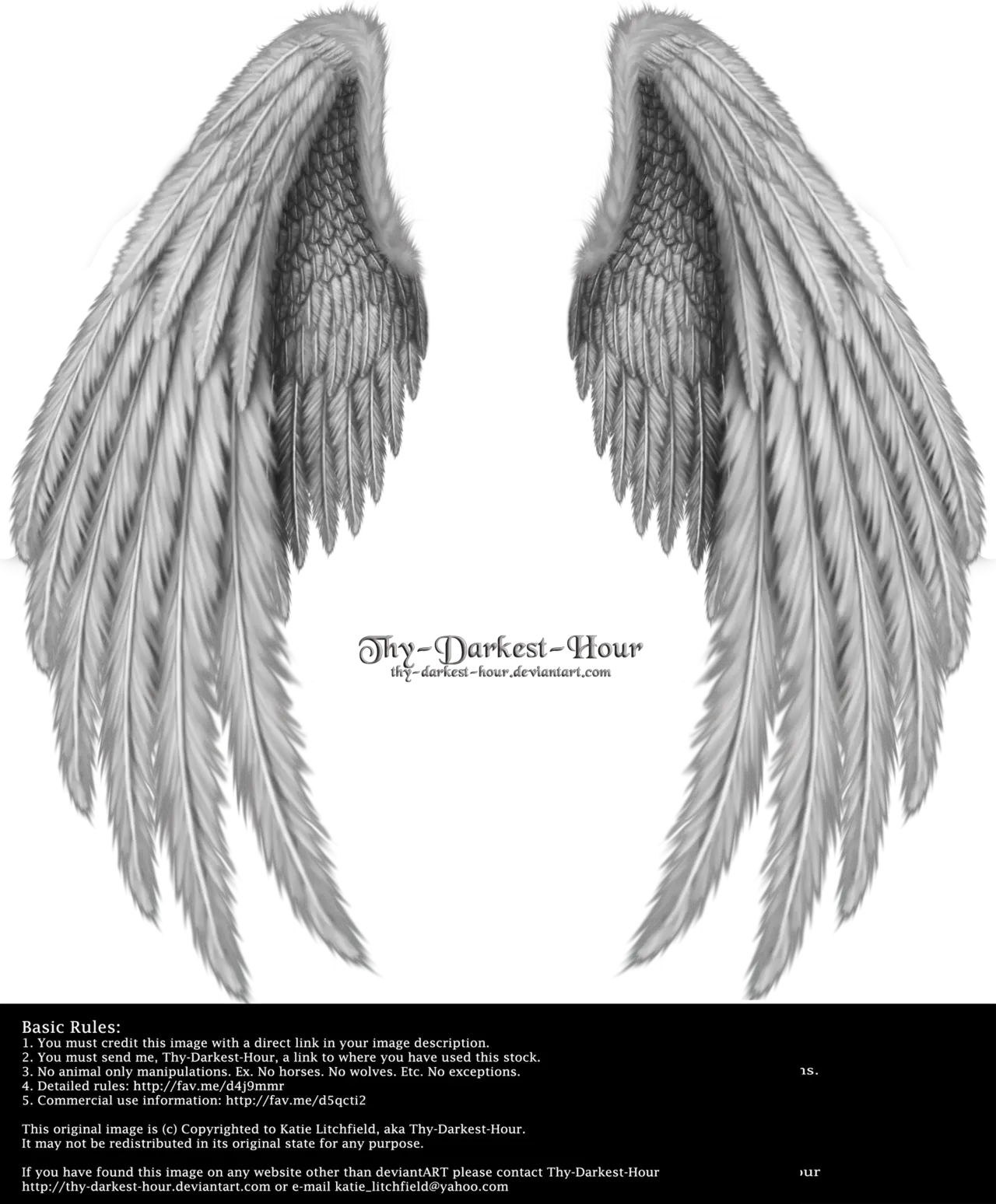 Realistic Angel Wings Drawing