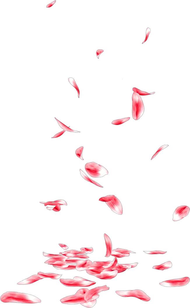 Falling Rose Petals Png Transparent Transparent Flowers Falling Png