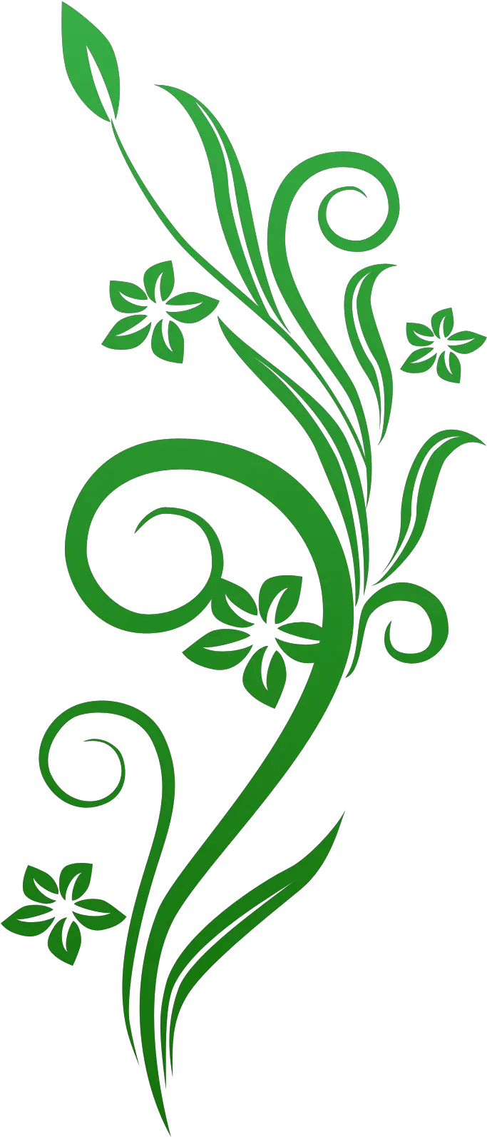 Flower Vines Png Green Floral Vector Png