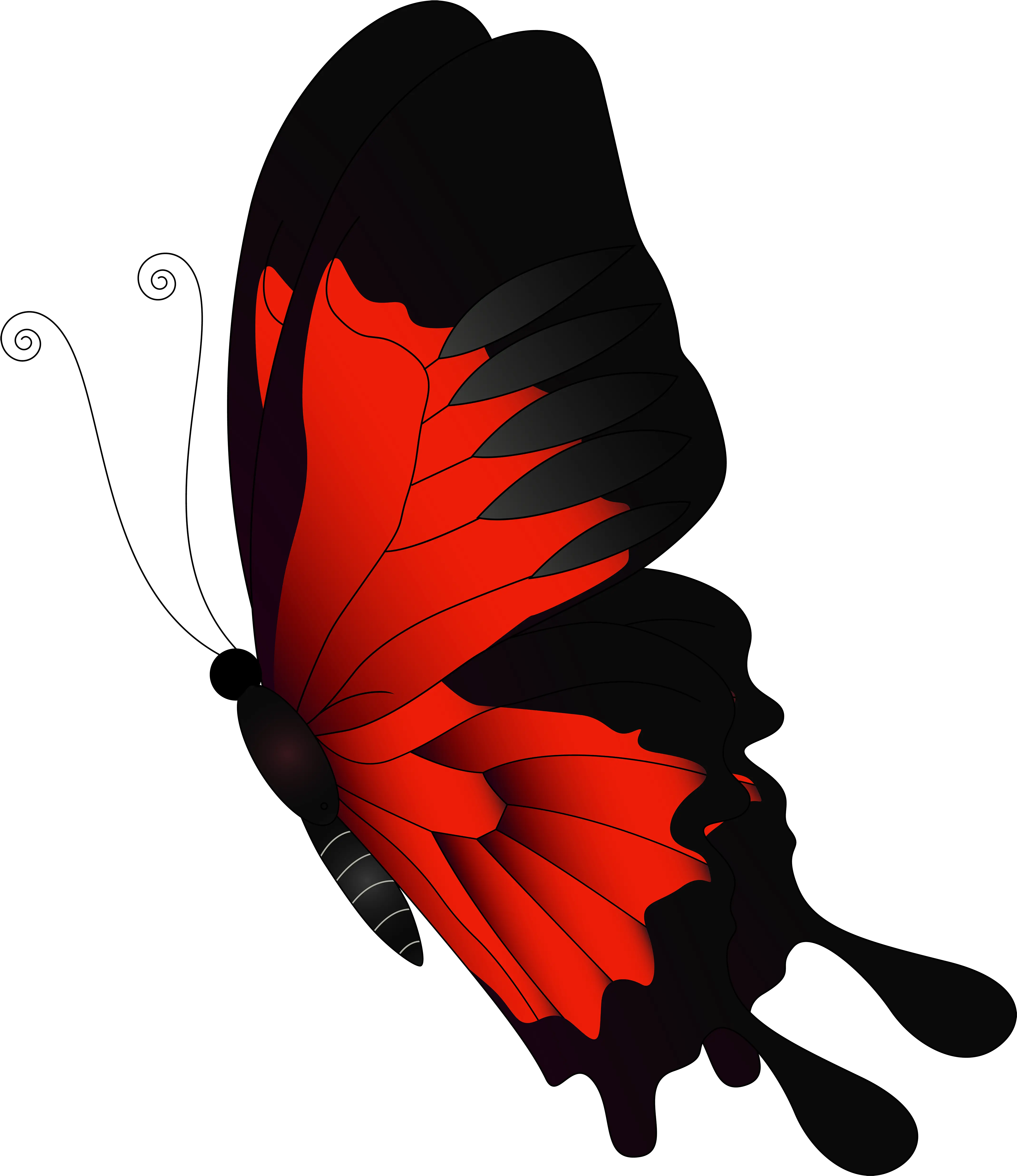 Transparent Butterflies Png Transparent Red Butterfly Png Transparent