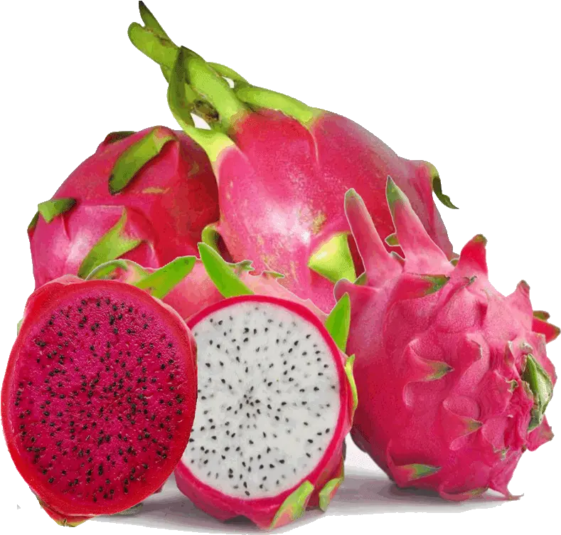 Hd Dragon Fruit Pictures Dragon Fruit Images Hd