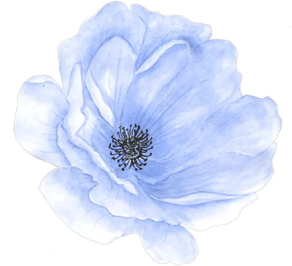 Hand Painted Flower Watercolor Flowers Clipart Blue