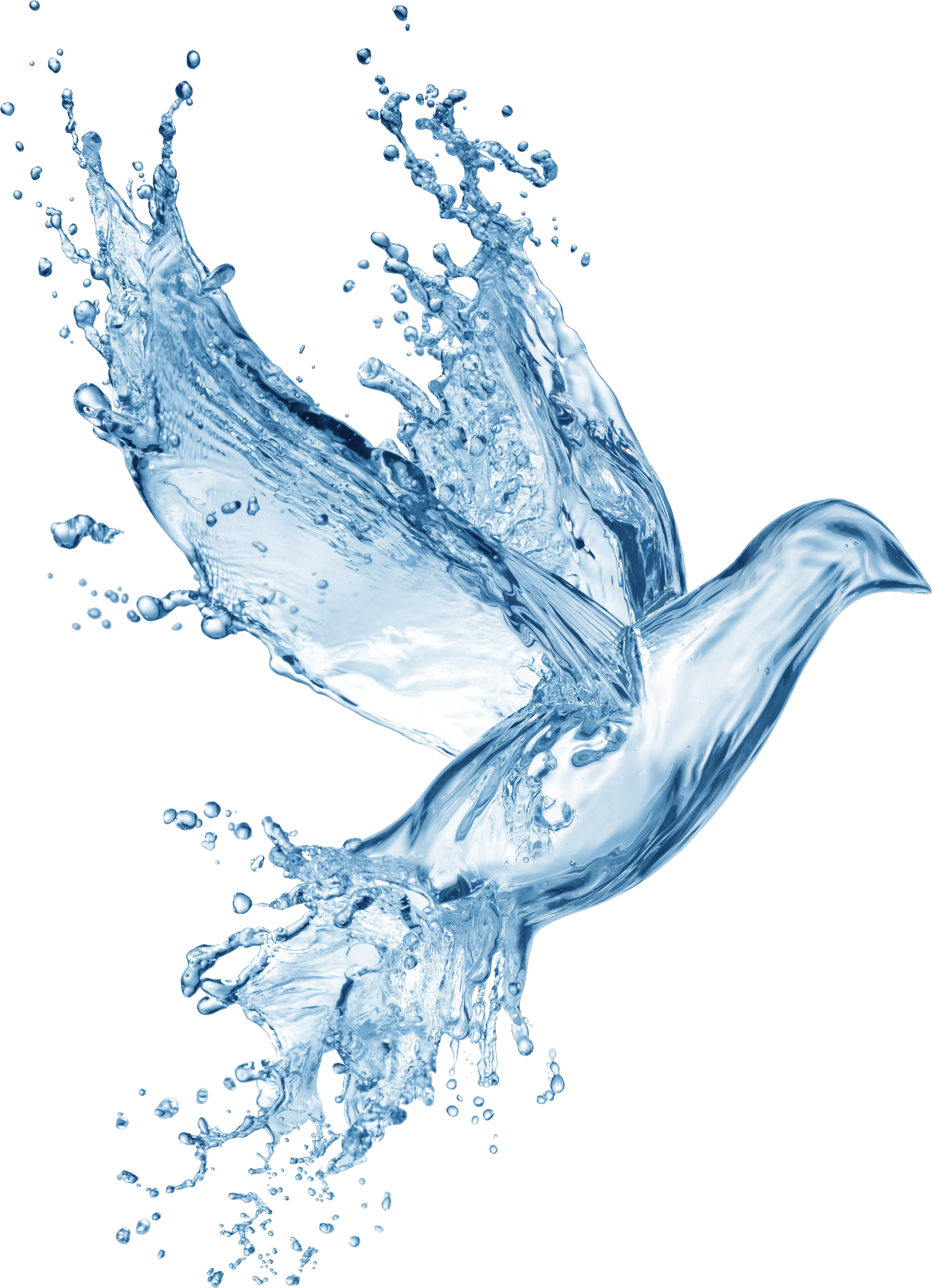 bird dove water splash Holy Spirit Symbols Water