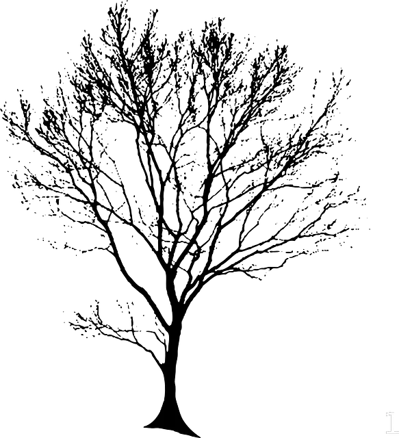 Architecture Tree Silhouette Png