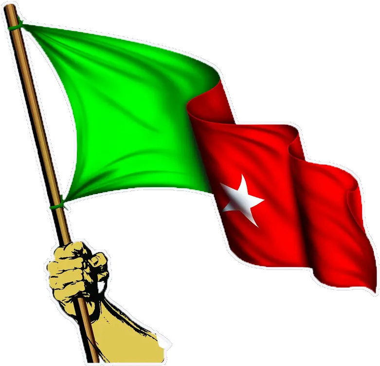 Sdpi Flag Wite Stroke Sdpi Flag