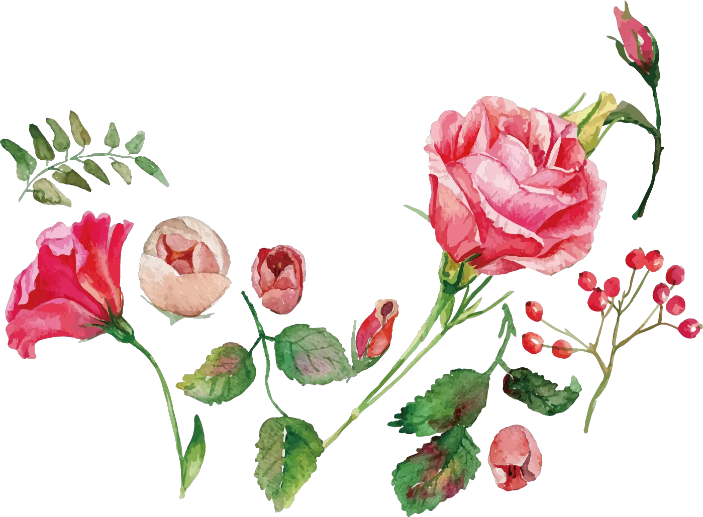 Watercolor Painting Flower Rose Royalty-free Flower Watercolor Painting Png Free