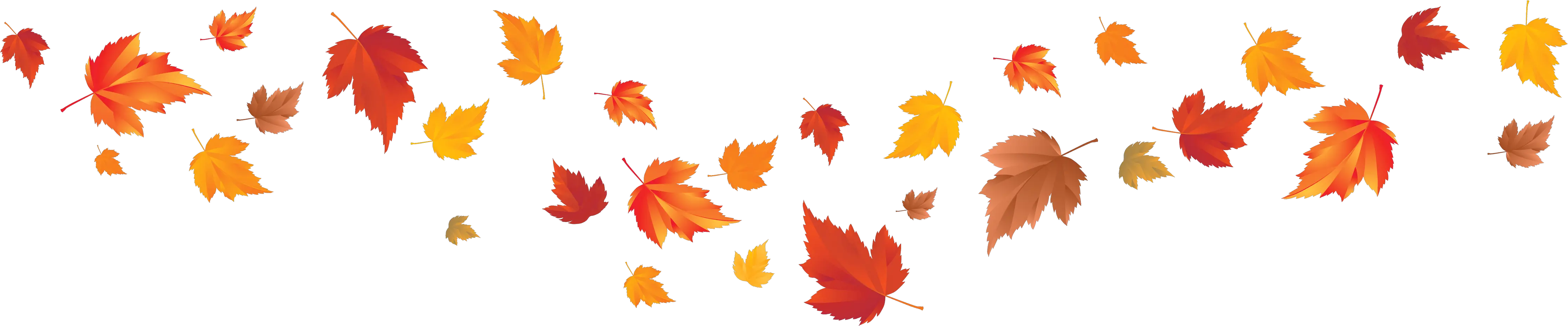 Autumn Leaf Color Autumn Leaf Color Red Maple Maple Fall Leaves Transparent Background