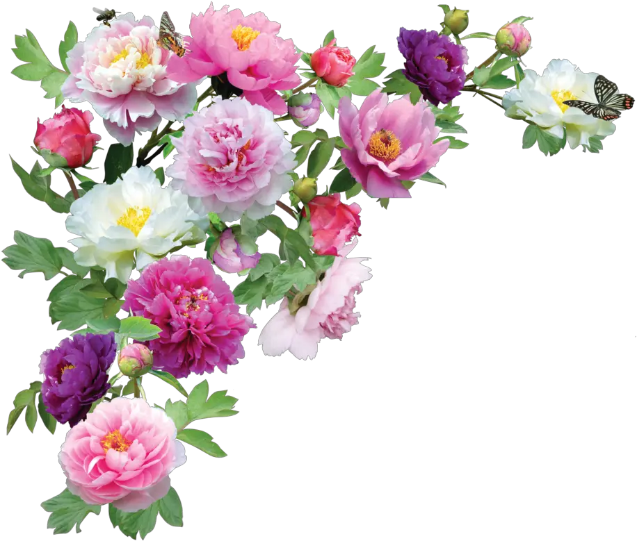 Wedding Png Transparent Background Flowers Png