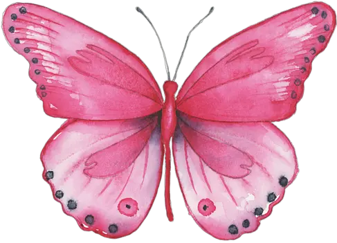 Watercolor Pink Butterfly Painting