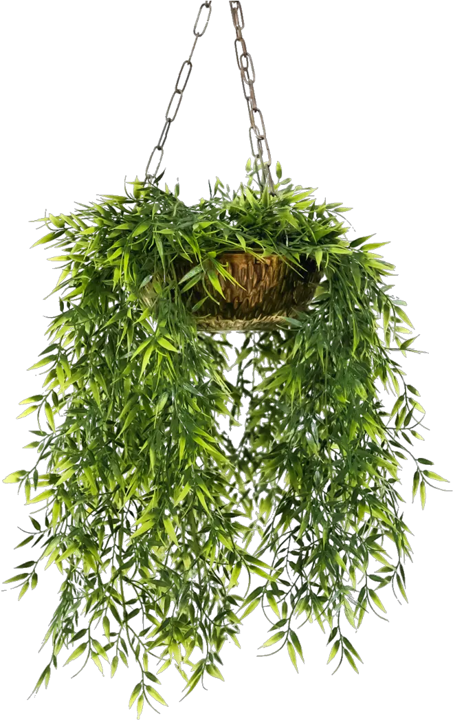 Hanging Plants Png Hanging Flower Pots Png