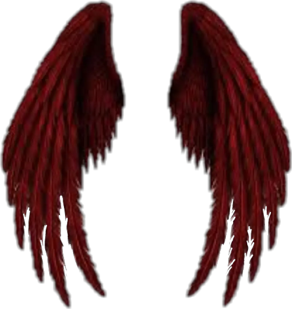 Demon Wings Png Angel Of Death Wings