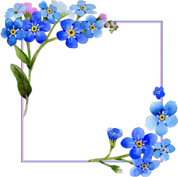 Flowers Watercolor Cover Vector Frame Watercolor Blue Flower Background