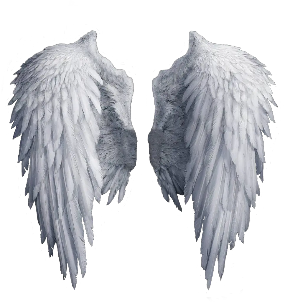 Transparent Background Angel Wings Png