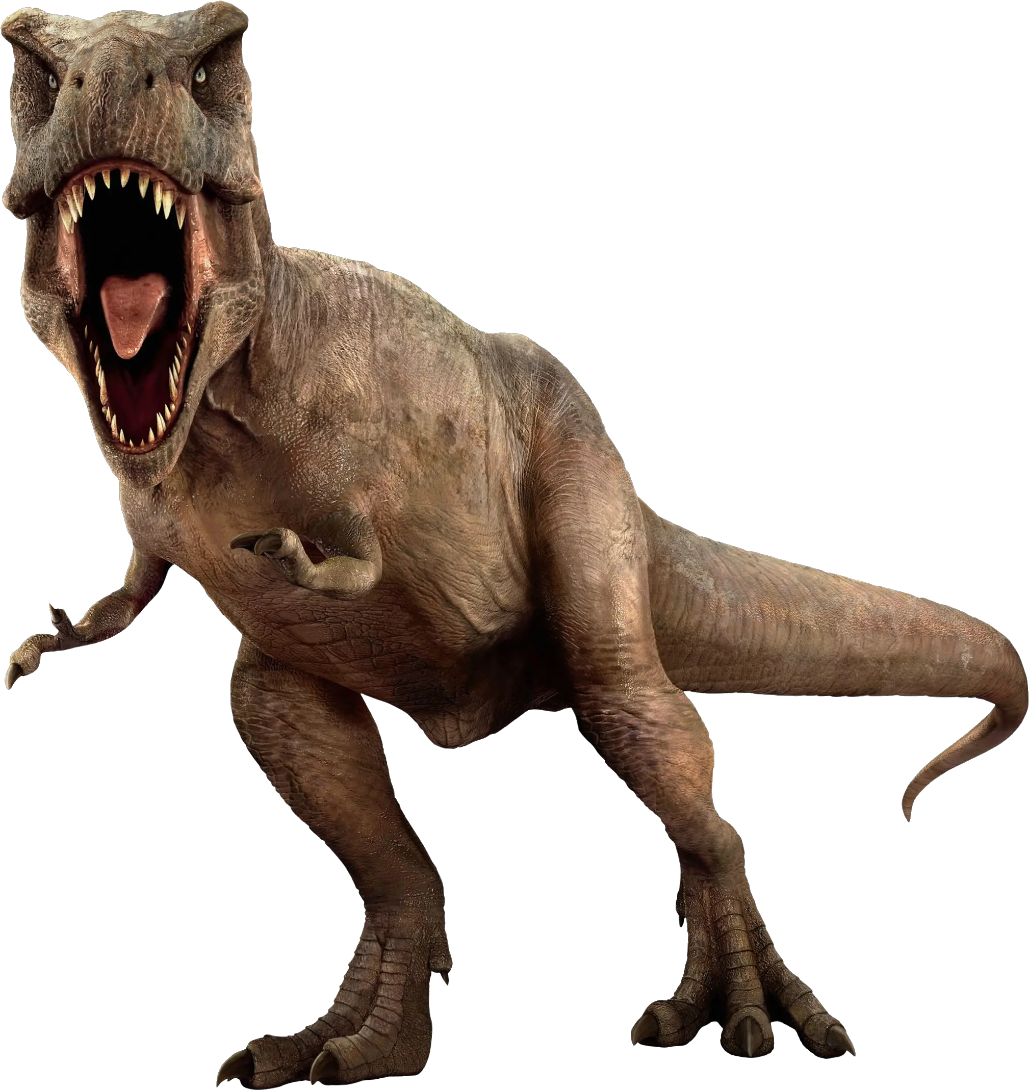 Dinosaur Png Transparent Background Dinosaur Png