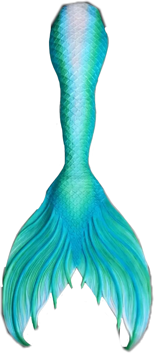 Blue Mermaid Tail