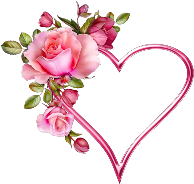 Pink Love Rose Flower