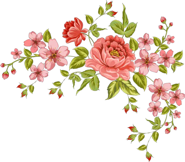 Flower Vector Vintage Png