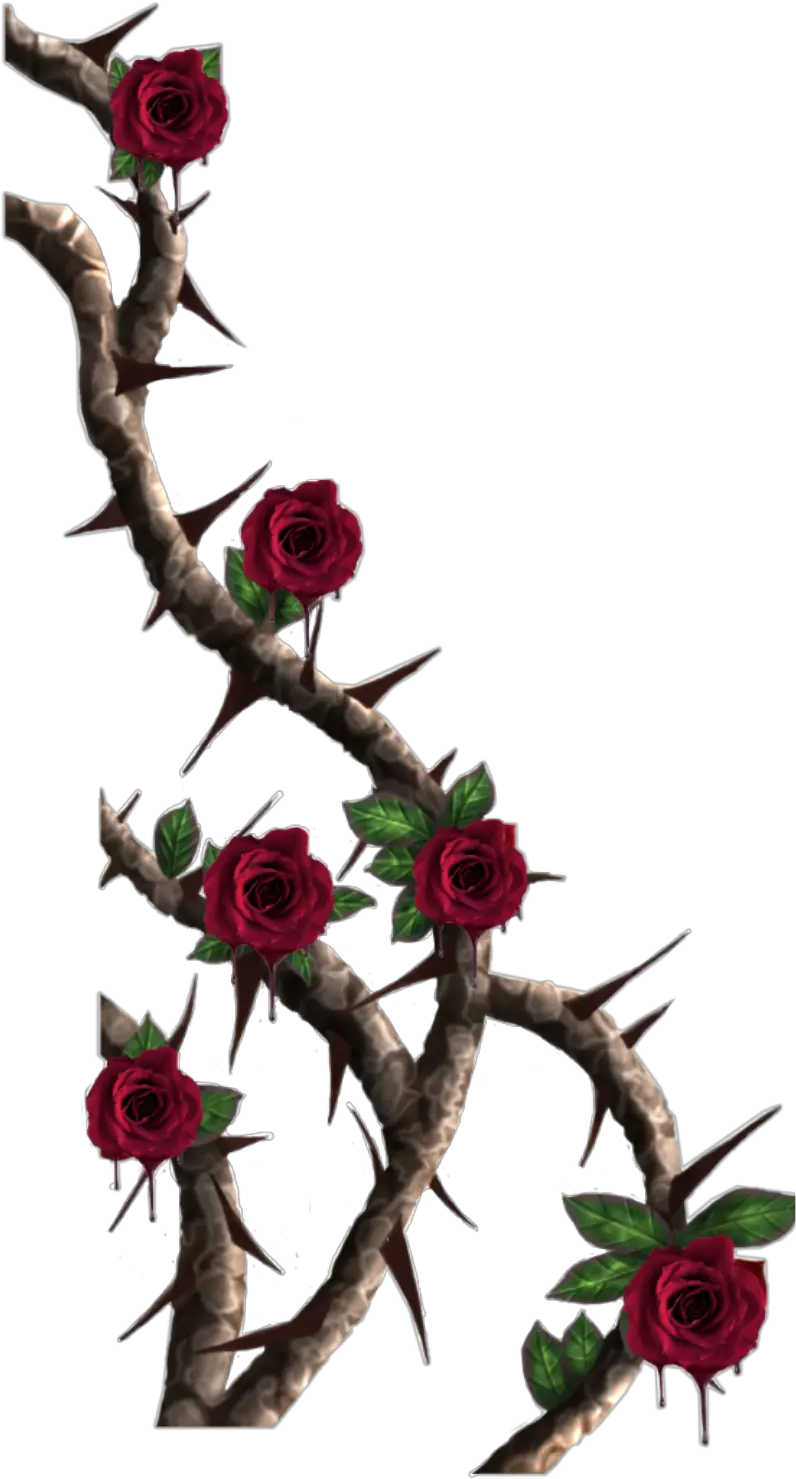 Thorn Vine Png