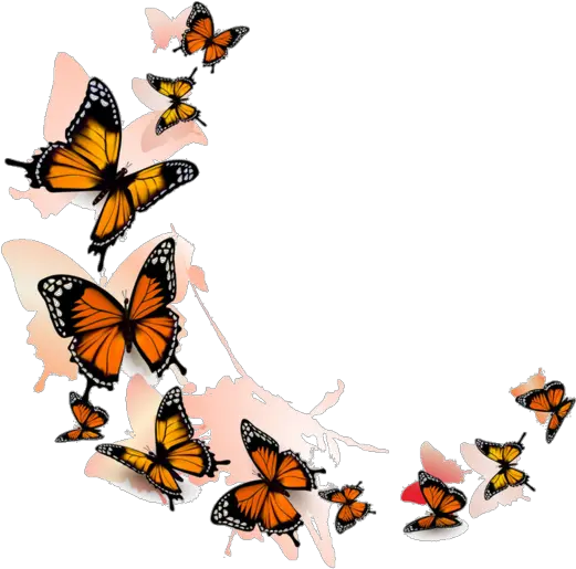 Flying Butterflies Transparent Background